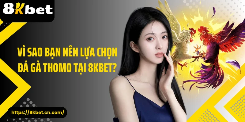 Vì sao bạn nên lựa chọn đá gà thomo tại 8KBET?